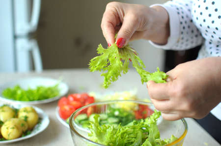 Female hands are cooking vegetable salad at the kitchen. Close-up picture, selective focus.の写真素材