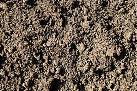 Background or texture of soil in rural. Black earth, humus. Top view, close-upの写真素材