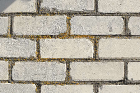 Close-up texture of fragment of an old white brick wall with building seams covered by yellow lichen at sunny day.の写真素材