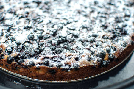 Tasty blackcurrant tart with sugar powder on a round baking tray. Close up, selective focus, bokeh