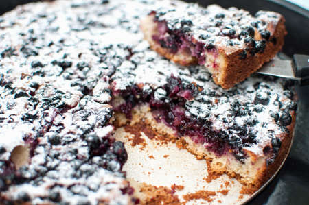 Appetizing blackcurrant tart with sugar powder on a round baking tray and a slice of tart on a...
