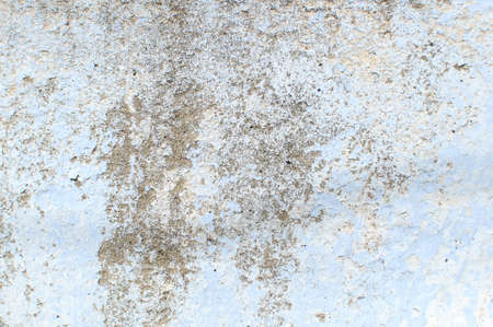 Shabby whitewash wall textured backgroundの写真素材