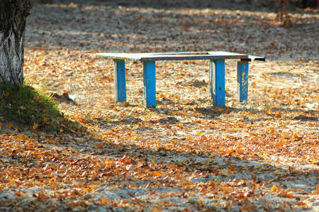 Sunlit old blue wooden bench and table at an autumn beach park. Sunny day.の写真素材