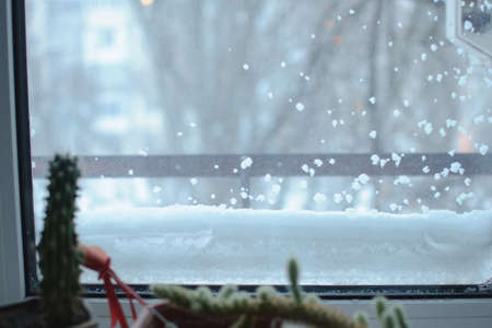 Snowbound window close-up and cacti on a window sill. Seasonal winter weather conditions. Snowy...