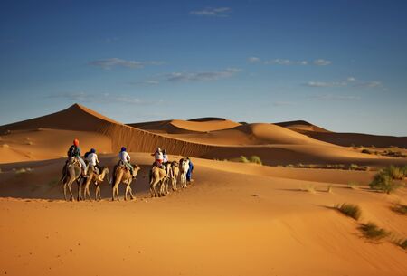 Sahara desert camels trekking tours with berbers adventure dromadaires riding and berber guiding excursionの写真素材