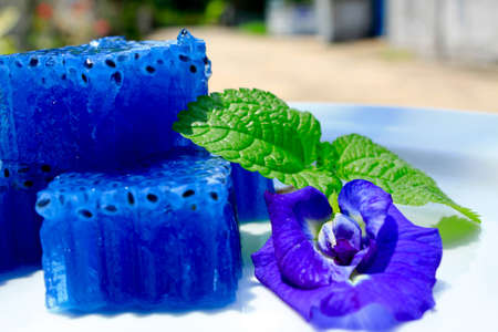 Thai jelly and butterfly pea flowerの写真素材