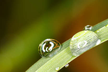Waterdrops sticking on blade of grassの写真素材