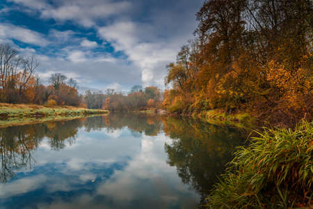 Trees reflecting in the lake.の写真素材