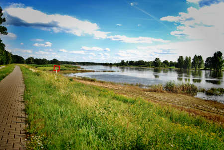 Meadow in the area of the Odra river in small polish town called Slubice.の写真素材