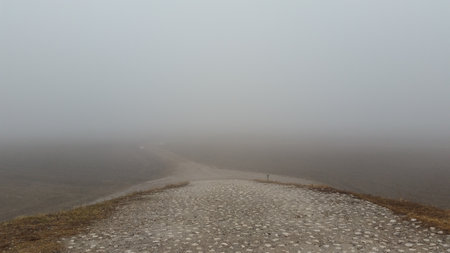 Foggy road in the steppe in the autumn morning.のeditorial素材