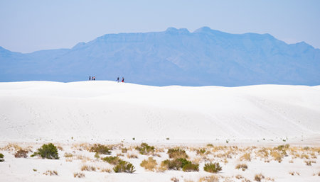 White Sands National Monument is a field of white sand dunes composed of gypsum crystals. It is the largest gypsum dune field in the world.の写真素材