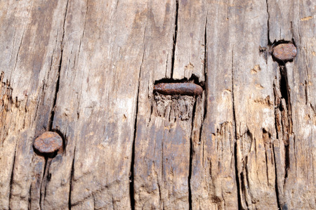 Rusty nails in damaged woodの写真素材