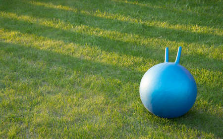 Blue fitness ball in a grass in summer eveningの写真素材