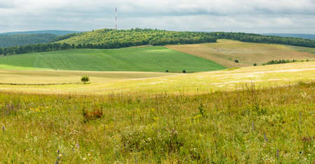 Summer in the fields of Bashkortostan in Russiaの写真素材