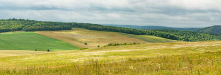 Summer in the fields of Bashkortostan in Russiaの写真素材