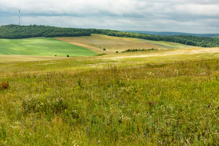 Summer in the fields of Bashkortostan in Russiaの写真素材
