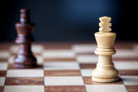 Small wooden piecesの写真素材