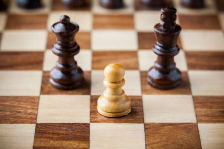 Small wooden piecesの写真素材