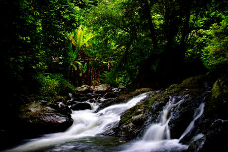 Waterfall in thailand