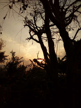 sunsetの写真素材