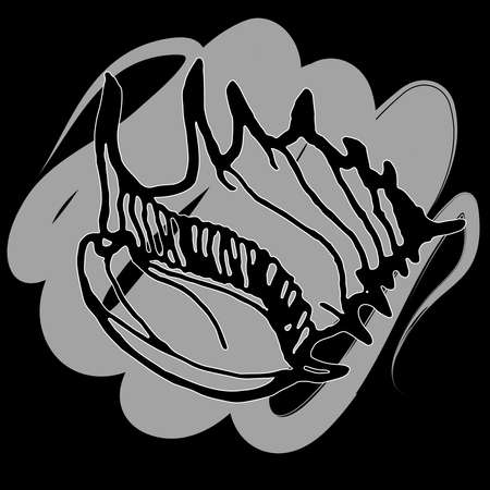 Doodles seashells icon on a black background.のイラスト素材