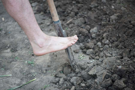 Empty Foot on Schovel Breaking Groung in Gardenの写真素材