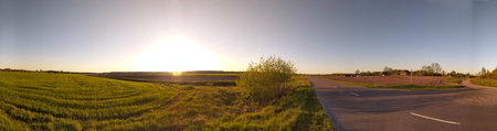 Panoramic view of sunset, sunrise over rural meadow field and asphalt open road. Countryside...