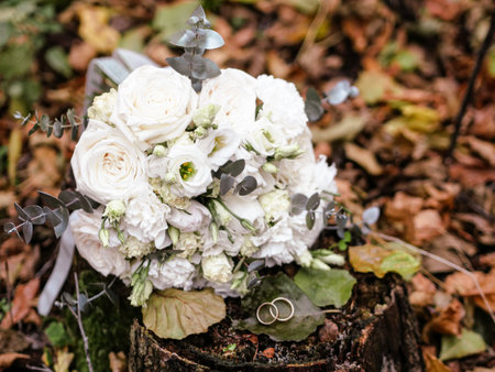 Autumn background golden wedding rings on green leaf on tree stump in autumn forestの写真素材