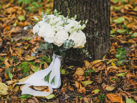 Autumn background Wedding bouquet on tree in autumn forest, copy spaceの写真素材