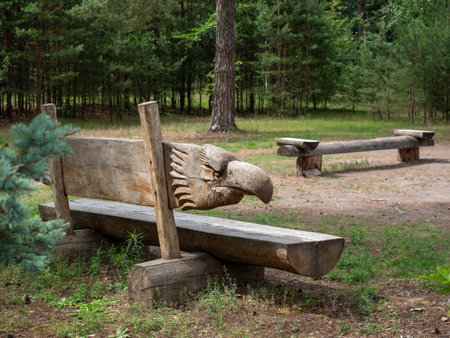 Wooden bench in the park in the summerの写真素材