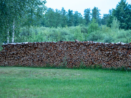 Firewood stacked on top of each other in a forest in summer