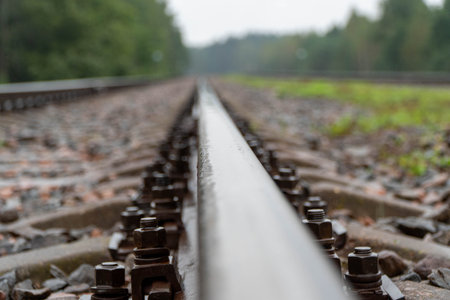 Railway track in the countryside. Close-up. Selective focus.の写真素材