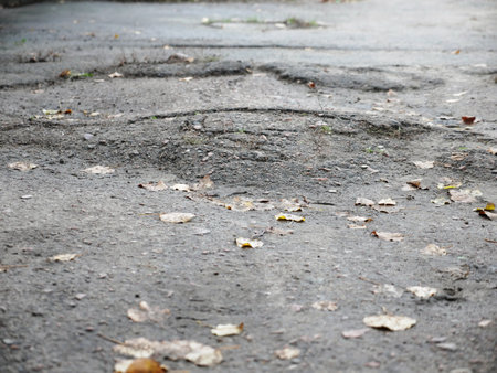 Wet asphalt road with fallen autumn leaves, closeup of photoの写真素材
