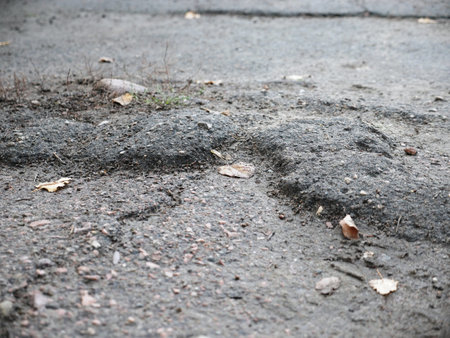 Wet asphalt background. Pattern with wet and dry spots on the road surface. Texture gray old wet road after rain. yellow leaves on the asphaltの写真素材