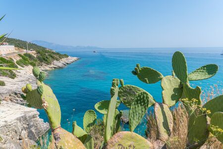 panoramic view of the mediterranean sea with cactus plantsの写真素材