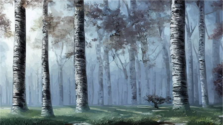 Birch thickets against backdrop of pine forest. summer landscape trees. nature view. Cartoon fun style. flat design. vectorのイラスト素材