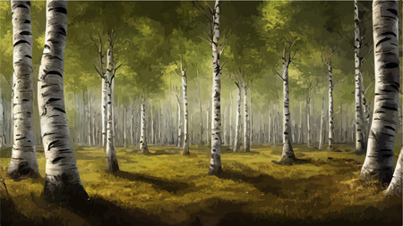 Birch thickets against backdrop of pine forest. summer landscape trees. nature view. Cartoon fun style. flat design. vectorのイラスト素材