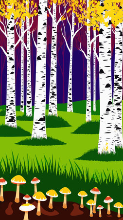 Birch thickets against backdrop of pine forest. summer landscape trees. nature view. Cartoon fun style. flat design. vectorのイラスト素材