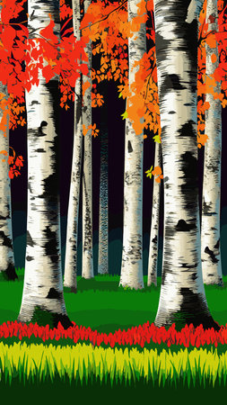 Birch thickets against backdrop of pine forest. summer landscape trees. nature view. Cartoon fun style. flat design. vectorのイラスト素材