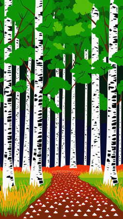Birch thickets against backdrop of pine forest. summer landscape trees. nature view. Cartoon fun style. flat design. vectorのイラスト素材