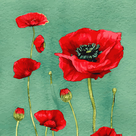 Watercolor illustration of wild poppy flowers. Red poppy flowers filed watercolor. Hand drawn illustration with detailed petals. Botanical painting for cards, wedding designのイラスト素材