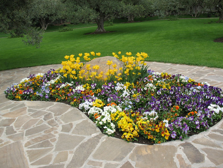 flowersの写真素材