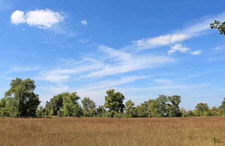 meadow, summer, cloudsの写真素材