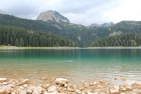 Montenegro,Durmitorの写真素材