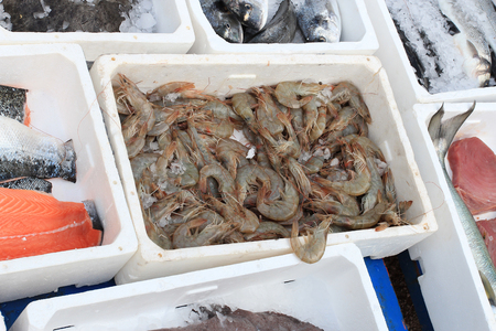 shrimps, gifts of Adriatic Seaの写真素材