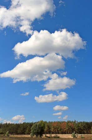 cloudsの写真素材