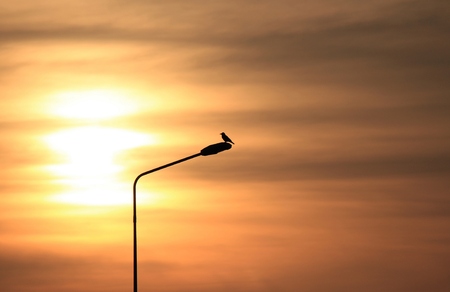 farewell to the sunの写真素材