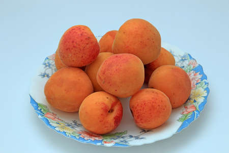 still life of summer fruitsの写真素材