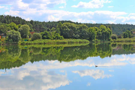 panoramic view of a summer lake with a lonely duck
