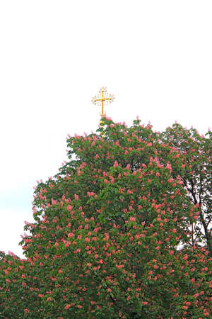 cross on the spire of the Ioninsky monastery in Kievの写真素材
